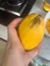 田良季广西金煌芒果大青玉水仙新鲜芒果凯特生鲜水果送礼品物盒 9斤装【蕞划算】净重8斤 甄选特级果【单果250-300g】 实拍图