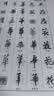 行书字典 毛笔行楷字典精装版 行楷行草行体字帖 毛笔行书字典 书法艺术名家作品集 软笔毛笔硬笔书法 晒单实拍图