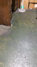 格兰仕（Galanz）【价保618】平板式小型家用微波炉20升700W精准温控旋钮操作更便捷DG(S0) 实拍图