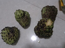 壹萌果蔬释迦果新鲜【顺丰次日达】大目释迦果番荔枝泰国热带水果节日送礼 3斤臻品果【单果250g+】净重2.5斤 实拍图