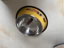 HELLOJOY猫碗不锈钢狗狗猫咪食盆猫咪宠物用品水粮碗防滑打不翻狗盆狗碗 实拍图
