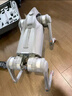 宇树（Unitree）Go2 四足机器狗 AI大模型 仿生陪伴机器人 语音交互伴随避障 Go2 Pro 实拍图