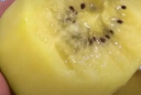 佳沛（zespri）新西兰 阳光金奇异果12粒特大果单果124-146g 猕猴桃水果礼盒 实拍图