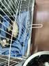 甜浪海狗狗玩具耐咬自嗨解闷小狗幼犬磨牙发声玩具怪叫拖把宠物狗的玩具 实拍图
