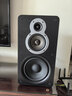 天逸（Winner）AD-86D合并式HIFI解码功放机发烧级立体声高保真HIFI组合蓝牙功放机 套餐1：搭配童笛C8 实拍图