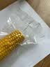 佳农东北黄糯玉米棒8袋*220g 软糯香甜 真空锁鲜 源头直发 礼盒包邮 实拍图