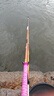 达亿瓦（DAIWA）一击 轻量鲤鱼鲫鱼草鱼罗非 进口鱼竿手杆 轻硬挺 休闲台钓 4.8m 一击F 48.K（综合） 不支持使用/试用后退换货 实拍图