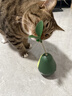 HELLOJOY猫玩具自嗨解闷逗猫棒不倒翁漏食球猫薄荷宠物猫玩的猫咪用品大全 实拍图
