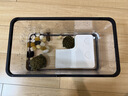 阔庭（KUOTING）乌龟缸桌面透明生态乌龟缸乌客厅水族箱黑色 实拍图