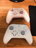 飞智沙漠狐 冰魄蓝 多模版无线游戏手柄 类xbox霍尔扳机switch电脑PC手机steamNS 星露谷物语双影奇境 实拍图