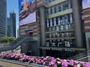 京东京造 医药箱 家用多功能药品收纳盒便捷大容量带提手大号 1只装 实拍图