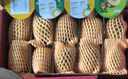 佳沛（zespri）新西兰阳光金奇异果16粒礼盒经典果单果 88-103g  猕猴桃水果礼盒 实拍图