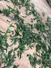 Smorss【2片装】适用苹果17后背膜iphone17磨砂手机膜全包保护背膜防指纹防刮花贴膜 实拍图