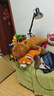 爱尚熊卡皮巴拉抱枕玩偶毛绒玩具娃娃女生睡觉长条男生日520送女朋礼物 实拍图