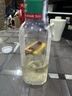 农夫山泉东方树叶绿茶500ml*15瓶无糖茶饮料0糖0脂0卡整箱装饮品 实拍图