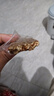 百宝库 瓜子酥饼干葵花籽瓜子仁酥糖办公室小零食坚果酥炒休闲零食3斤 实拍图