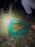 光威（GW） 鱼竿赤刃五六代台钓竿超轻超硬碳素钓鱼竿垂钓钓具用品调手竿 4.5m 赤刃六代 实拍图