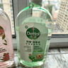 滴露（Dettol）宠物家庭消毒液1L灭杀真菌细菌 猫砂去味 宠物除臭除味剂消毒水 实拍图