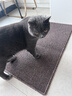 疯狂的主人猫抓板仿剑麻猫抓垫耐磨不掉屑宠物地垫地毯猫抓垫50*80CM 实拍图
