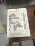 葵花三伏天儿童成人中药脾胃虚寒肚脐吴茱萸肉桂元气茯苓八珍三伏足贴 实拍图