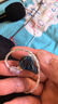 qdc变色龙 V3II 耳机入耳式v3二代动铁HIFI明星同款舞台演出监听专业级耳返直播有线耳机定制音乐耳机 V3II-S(标准版) 实拍图