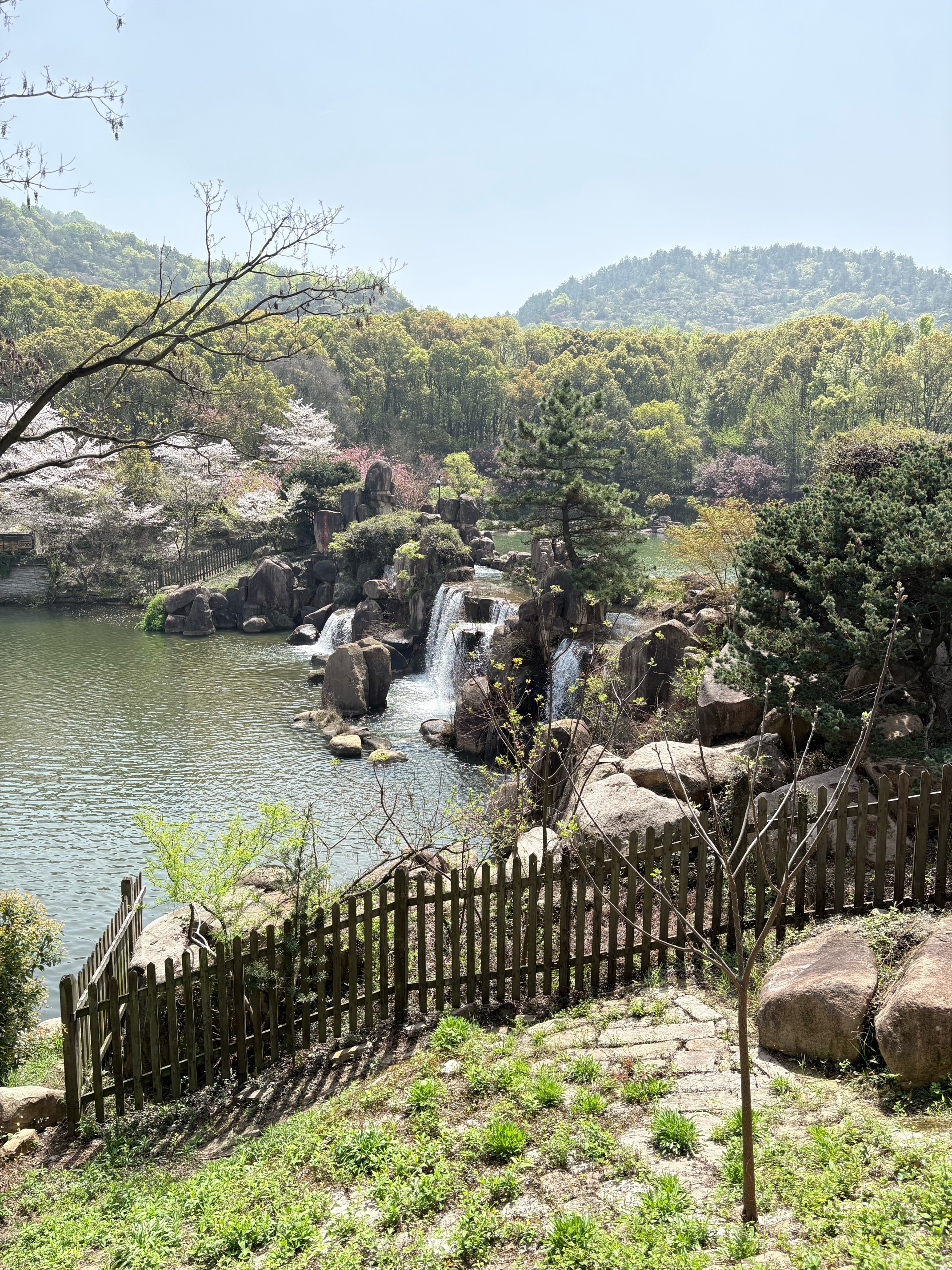 美厨（MAXCOOK）不锈钢盆洗菜盆调料盆和面盆 加大加厚味斗30cm 拌沙拉MCWA-017 实拍图