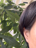 Warme Farben日常百搭足银耳钉女耳棒养耳洞耳棍耳针耳骨耳饰女生日礼物送女友 养耳三件套 实拍图