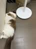 高爷家全价益生菌 高肉冻干 低敏美毛 兔肉益生菌猫粮1.5kg 实拍图