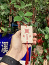 京东鲜花凯蒂猫玩偶花束创意公仔生日六一儿童节礼物女孩送女友闺蜜永生花 实拍图