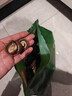 京东京造鲜来多精选有机蛹虫草200g虫草花南北干货煲汤炖汤滋补 实拍图
