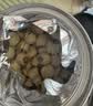 方家铺子六星莲子250g 湘潭磨皮通芯白莲子 中大号去芯百合芡实银耳羹伴侣 实拍图