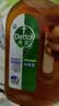 滴露（Dettol）消毒液洗衣衣物消毒水750mL 除螨杀菌混洗无忧 家居地板消毒 非84 实拍图