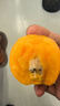 优味集【顺丰JD】枇杷新鲜水果云南蒙自琵琶止咳整箱鲜果中秋节日礼品 净重1500g（甄选好果28-40g） 实拍图