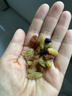 百草味四色葡萄干500g罐装新疆吐鲁番特产原料免洗大果干蜜饯零食 实拍图