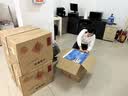 爱普生（EPSON）L6468 A4彩色商用打印机 墨仓式数码多功能一体机 复印/打印/扫描 实拍图