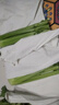 大芹菜产地直销新鲜健康无添加现挖现发生吃凉拌脆甜多汁带叶子 芹菜5斤 实拍图