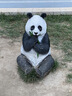 小熊（Bear）【价保618】电烤箱 10L家用多功能 迷你容量S型发热管 定时控温旋钮操控 免预热小型烤箱 F10N3 实拍图