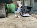 憨憨宠猫笼折叠猫笼子大号猫别墅加粗加密双层猫舍猫窝宠物猫咪用品家用 黑色 600双层 实拍图