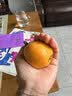 江中 利活 乳酸菌素片32片*5盒益生菌成人儿童用 益生元调理肠胃肠道便秘通便腹泻拉肚子消化不良肠胀气肠炎 实拍图