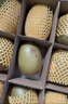 佳沛（zespri）新西兰阳光金果10个装单果重约103-114g 水果礼盒 猕猴桃水果礼盒 实拍图