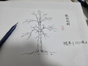 斑马牌（ZEBRA）细尖秀丽笔 学生毛笔练字笔 书法笔请柬笔 WFSS4 蓝色杆 5支装 实拍图