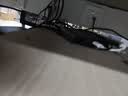 绿联HDMI2.0 KVM切换器视频切屏器二进一出4K/60Hz 共享USB打印机键盘鼠标 电脑接电视分屏显示器35766 实拍图
