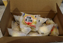 港荣蒸蛋糕淡糖450g小面包蛋糕早餐饼干中西式糕点心甜品母亲节礼物 实拍图