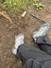 迈乐（Merrell）官方店男女款户外登山徒步鞋减震MOAB 3迈越者轻量防滑耐磨透气 J035896灰蓝（女） 37 实拍图