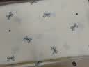 红豆A类双层纱三件套0.9/1.2米床单人被罩学生宿舍被套150*200cm兰思 实拍图