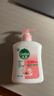 滴露（Dettol）健康抑菌洗手液滋润倍护500g 消毒抑菌99.99% 儿童适用不含酒精 实拍图