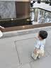 小羊沃利woollykids2024夏季新款凉鞋澳洲真皮透气男女宝宝学步鞋 白杏色 23 码内长15.0cm/适合脚长14.1-14.5cm 实拍图
