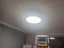 雷士（NVC）LED照明枕边风风扇灯吊扇灯北欧餐厅卧室1级能效三防白色42寸60瓦 实拍图
