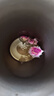 贡苑云南玫瑰花茶260g 特级品质平阴重瓣大朵胎玫瑰无硫花草养生茶 实拍图