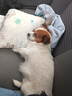 宝路狗粮 成犬狗粮中小型犬15斤 泰迪全犬种通用全价粮7.5kg鸡肉味 实拍图